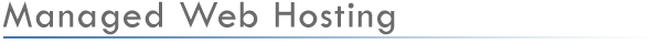 Web Solutions MD provides Reliable Web Hosting Service